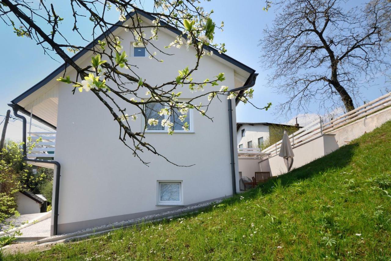 Apartment Micnek Μπλεντ Εξωτερικό φωτογραφία